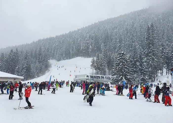 Spacious And Cosy In Royal Towers Complex *